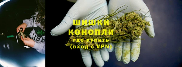 гашиш Богданович