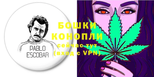 гашиш Богданович