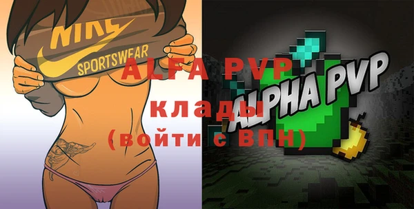 гашиш Богданович