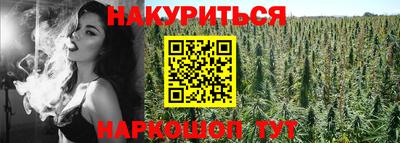 индика Волжский