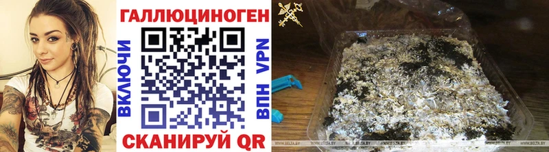 Псилоцибиновые грибы Magic Shrooms  Волжск 